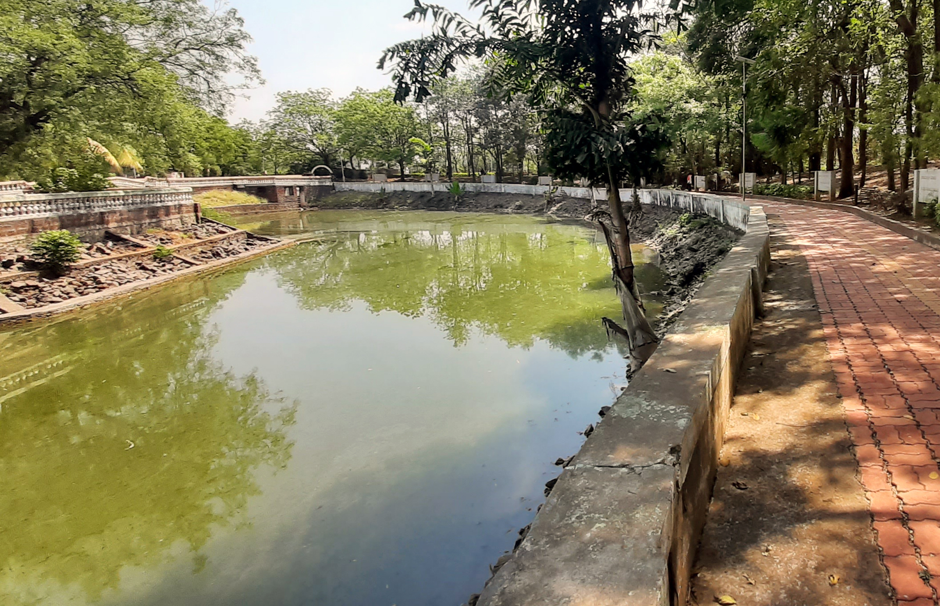 ಬಸವಕಲ್ಯಾಣ ನಗರದ ಮಡಿವಾಳ ಮಾಚಿದೇವರ ಹೊಂಡದ ನೀರು ಹಸಿರು ಬಣ್ಣಕ್ಕೆ ತಿರುಗಿದೆ