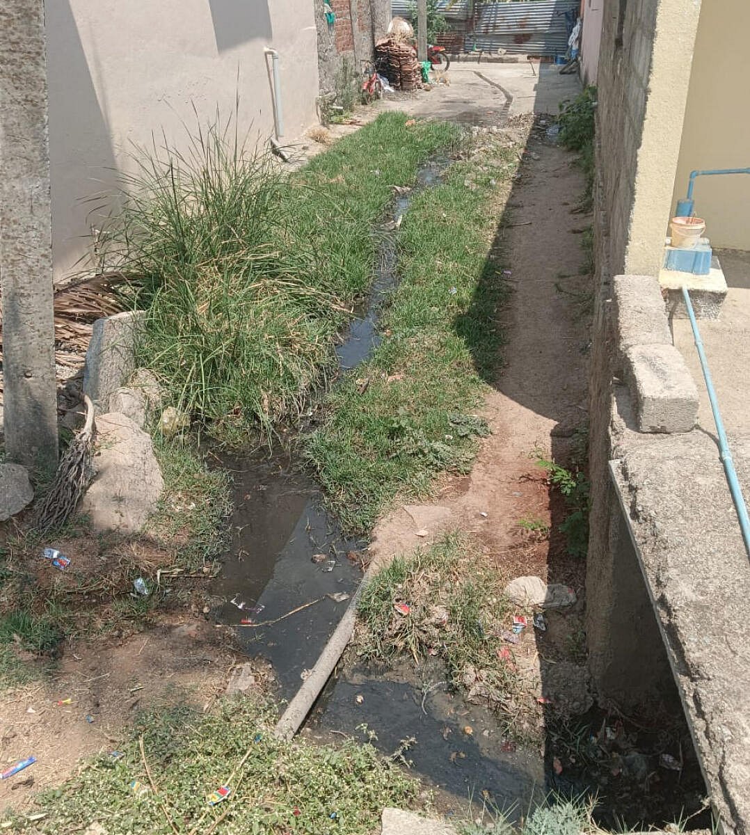 ನೀಲಗುಂದ: ಹೂಳು ತುಂಬಿದ ಚರಂಡಿ
