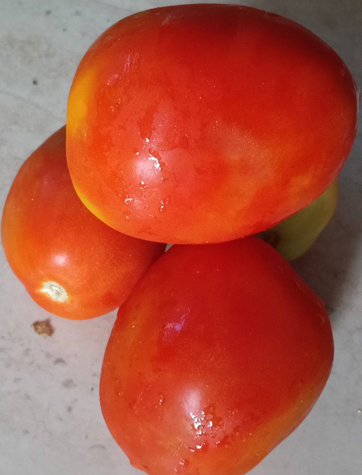 ಕಡೂರು | ಟೊಮೆಟೊ ಬೆಲೆ ಕುಸಿತ; ಈರುಳ್ಳಿ ದರ ಸ್ಥಿರ