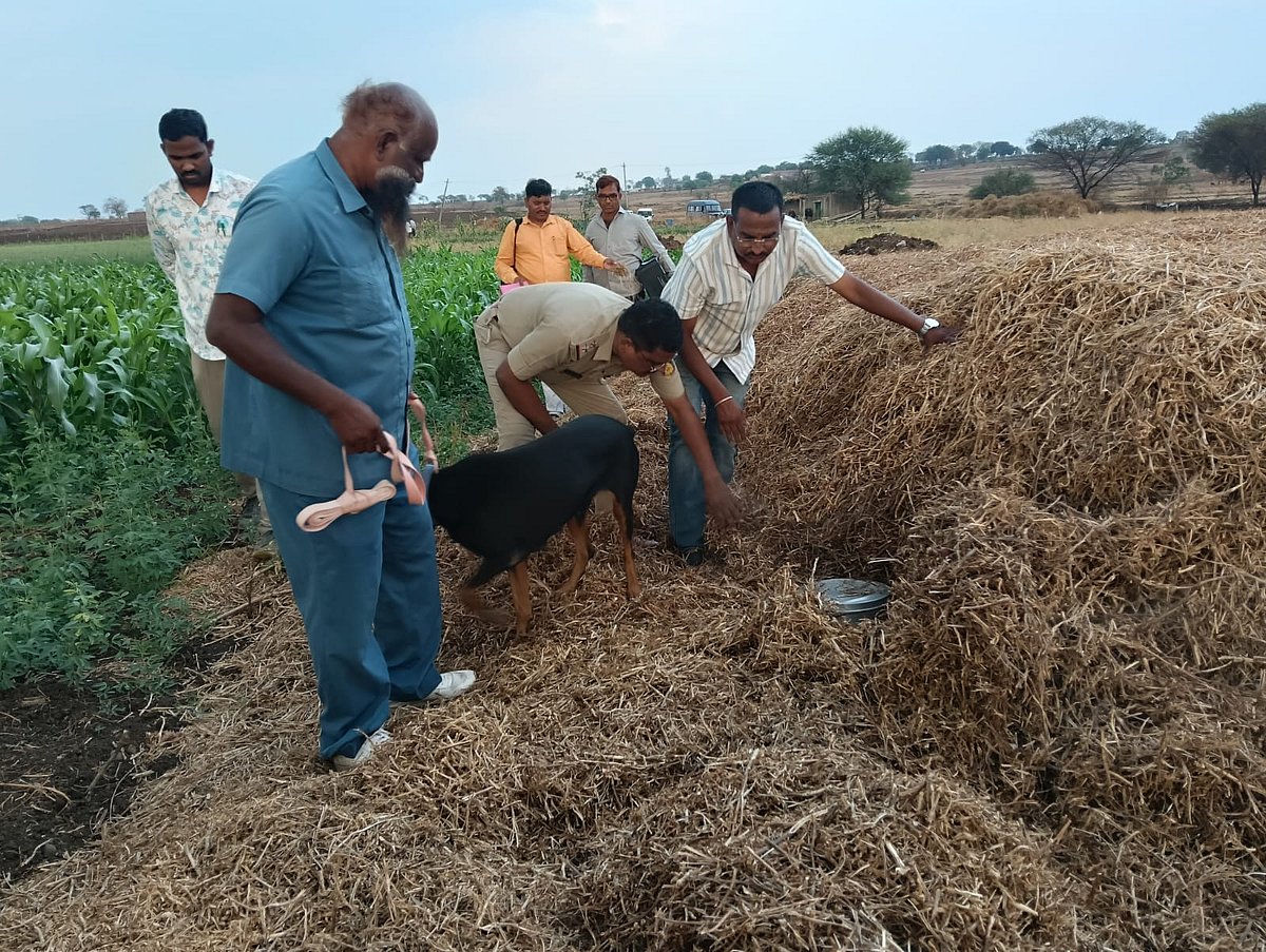 ಔರಾದ್ | ಶ್ವಾನದ ನೆರವಿನಿಂದ 7.5 ಕೆ.ಜಿ ಗಾಂಜಾ ಪತ್ತೆ ಮಾಡಿದ ಪೊಲೀಸರು