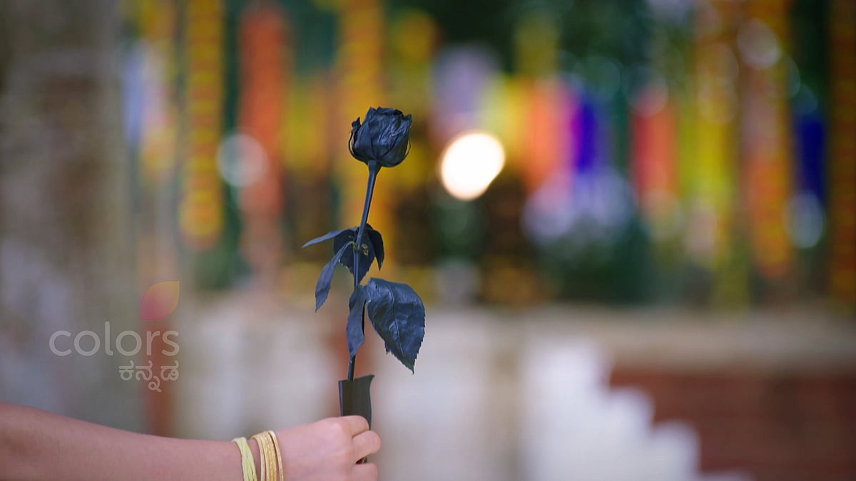 ಕರಿಮಣಿ ಧಾರಾವಾಹಿ: 'ಬ್ಲ್ಯಾಕ್ ರೋಸ್‌' ಪಾತ್ರದ ಕುತೂಹಲಕ್ಕೆ ಸೋಮವಾರ ತೆರೆ?