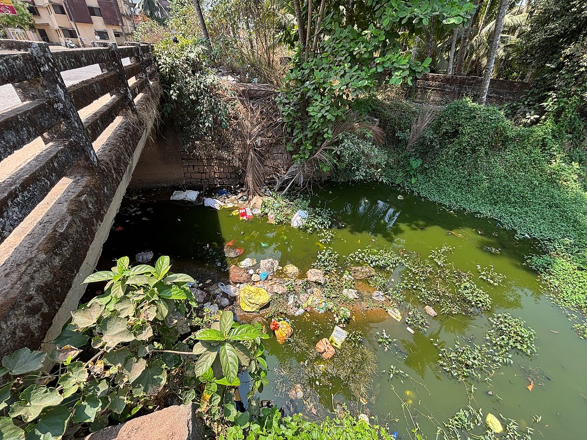 ಉಡುಪಿ | ಮಲಿನಗೊಳ್ಳುತ್ತಿದೆ ಜೀವಜಲ: ಕಾದಿದೆ ಆಪತ್ತು