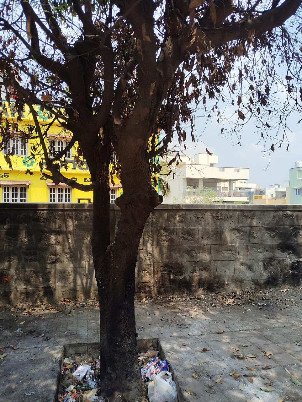 ರಾಜರಾಜೇಶ್ವರಿನಗರ:  ಹೊರವರ್ತುಲ ರಸ್ತೆಯಲ್ಲಿ ಮರಗಳಿಗೆ ಬೆಂಕಿ