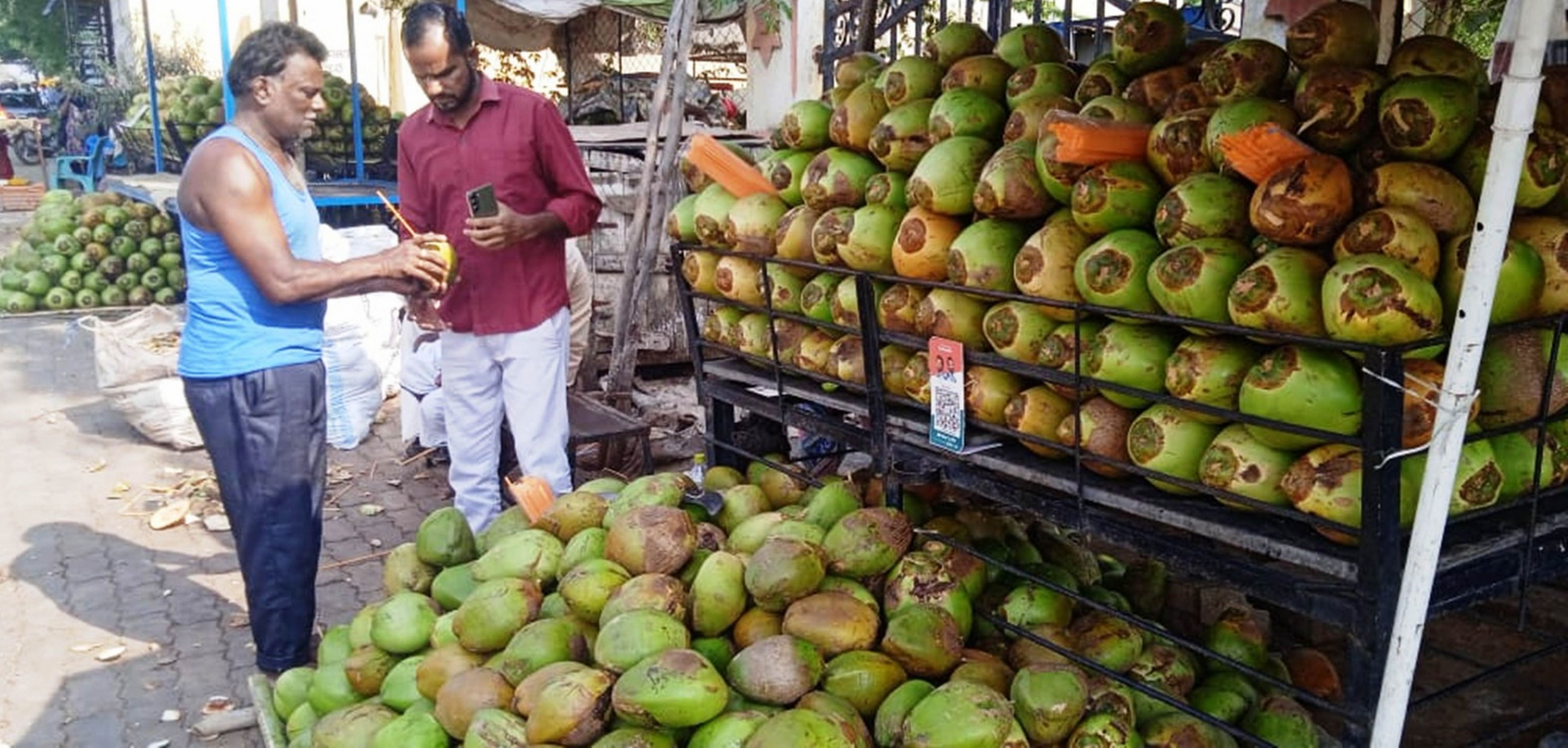 ಕುಷ್ಟಗಿಯಲ್ಲಿ ಎಳನೀರಿನ ವ್ಯಾಪಾರದಲ್ಲಿ ತೊಡಗಿದ್ದ ಶಾಮೀದಸಾಬ್ ಕಪಾಲಿ