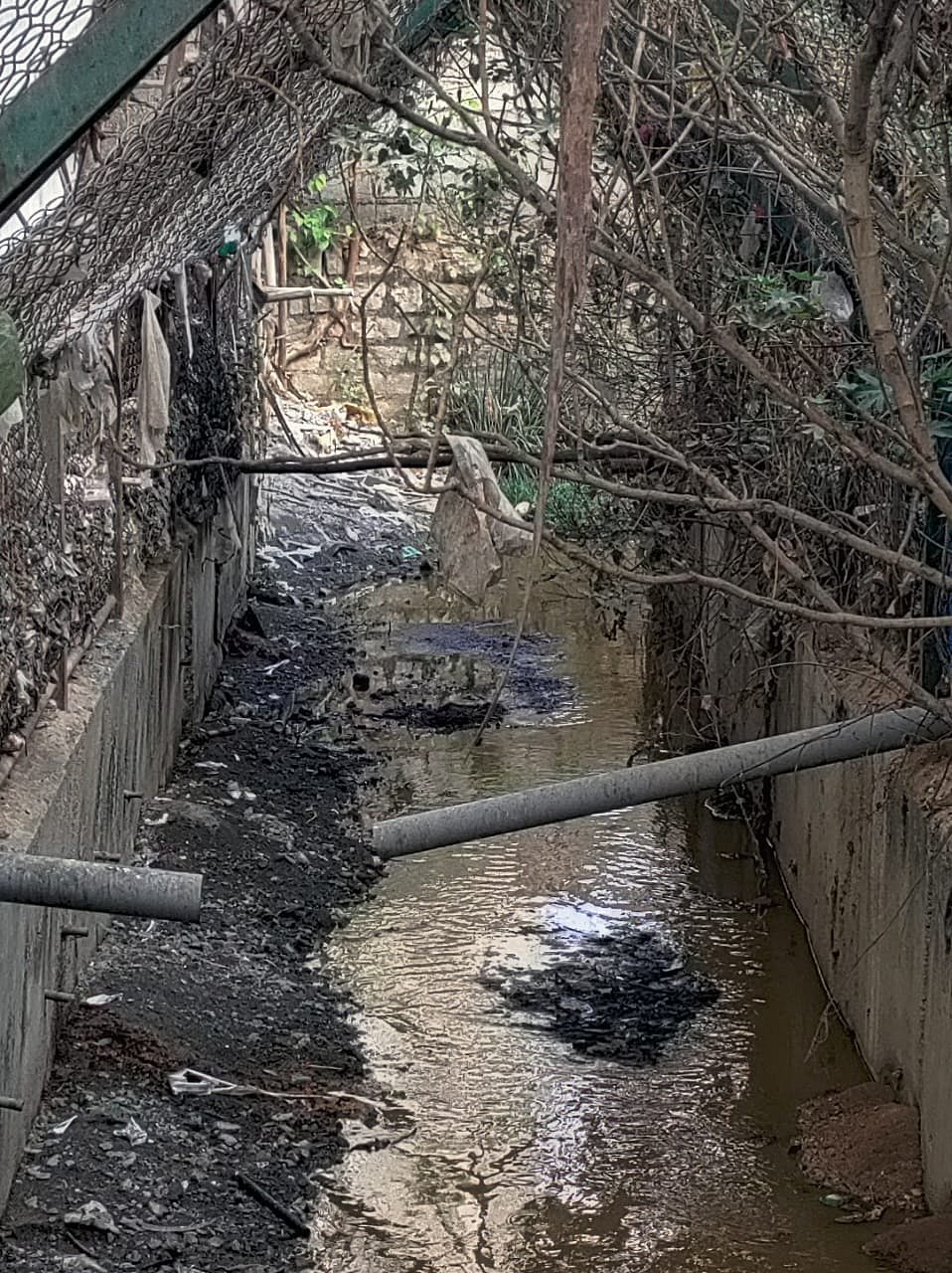 ಬೊಮ್ಮನಹಳ್ಳಿ | ರಾಜಕಾಲುವೆಗೆ ಒಳಚರಂಡಿ ಸಂಪರ್ಕ, ಗಬ್ಬ ವಾಸನೆ: ನಿವಾಸಿಗಳ ದೂರು