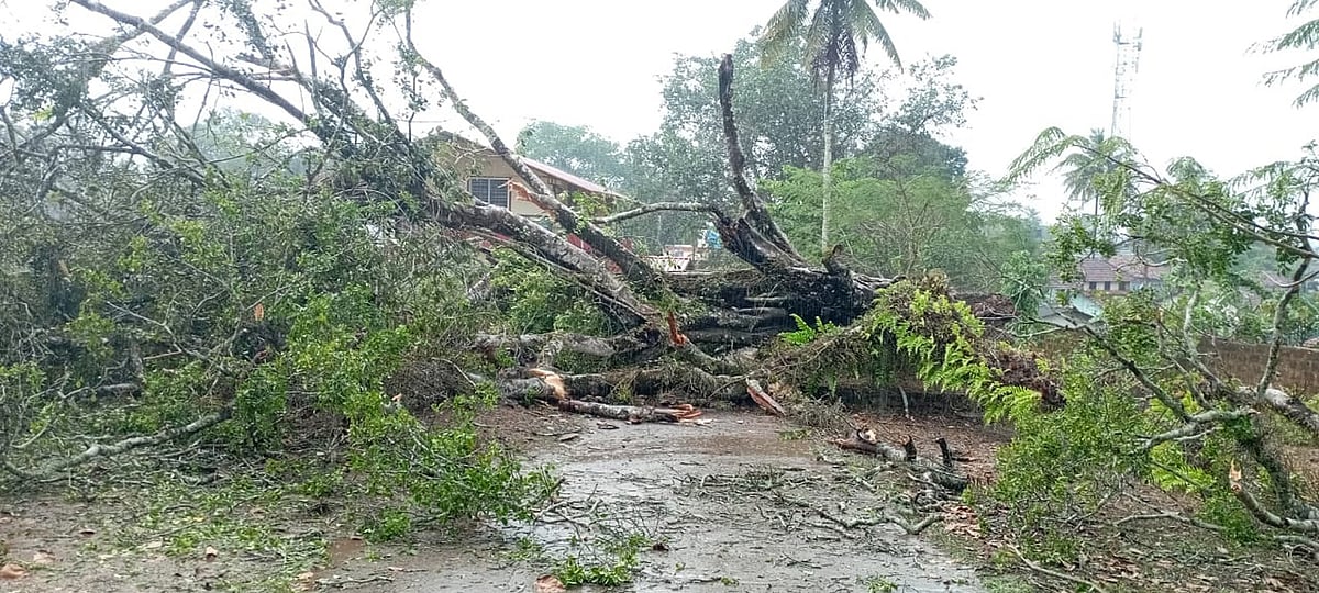ಬೈಲಹೊಂಗಲ, ಕೊಡಗಿನಲ್ಲಿ ಭಾರಿ ಮಳೆ