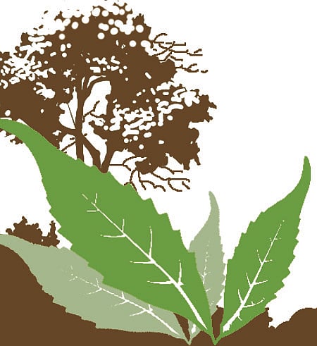 ಸಂಗತ | ಸಂಭ್ರಮದ ಜೊತೆಗಿರಲಿ ಸಂವೇದನೆ