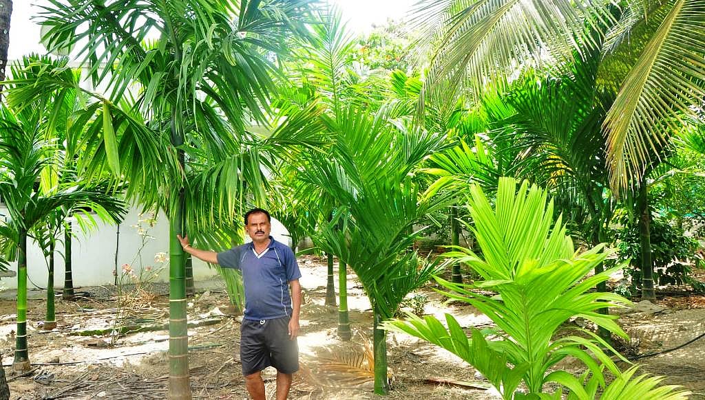 ಪಾಂಡವಪುರ: 4 ಗುಂಟೆ ಜಮೀನಿನಲ್ಲಿ 35 ತಳಿ ಬೆಳೆದ ರೈತ