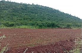 ಚಿಕ್ಕಮಗಳೂರು | ಅಕ್ರಮ ಭೂಮಂಜೂರಾತಿ ಪ್ರಕರಣ: 1400 ಎಕರೆ ಮಂಜೂರಾತಿ ರದ್ದು 