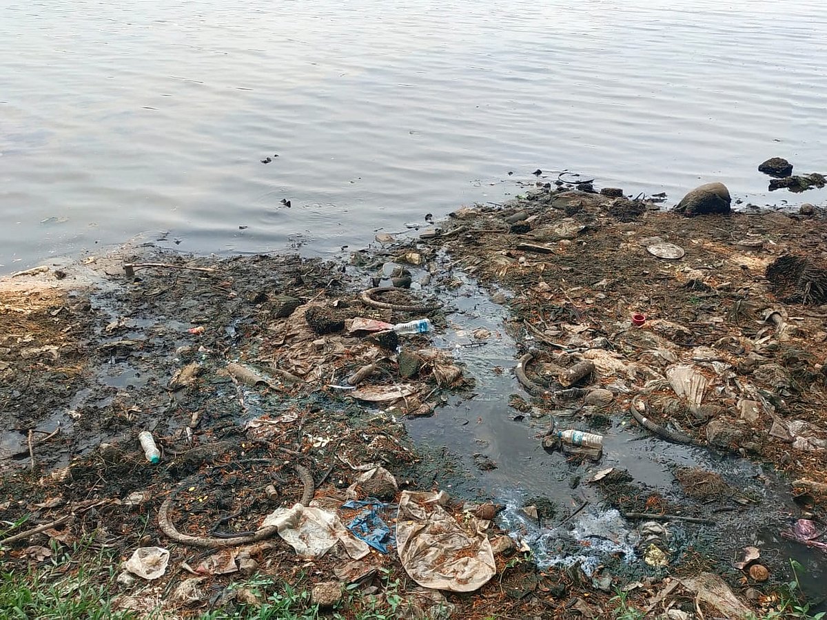 ಬಂಟ್ವಾಳ: ಮಲಿನಗೊಳ್ಳುತ್ತಿದೆ ನೇತ್ರಾವತಿ ನದಿ ಒಡಲು