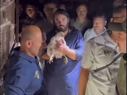 ಟ್ರಕ್‌ನಲ್ಲಿ ಸಾಗಿಸುತ್ತಿದ್ದ ಕೋಳಿಗಳನ್ನು ರಕ್ಷಿಸಿದ ಅನಂತ್ ಅಂಬಾನಿ