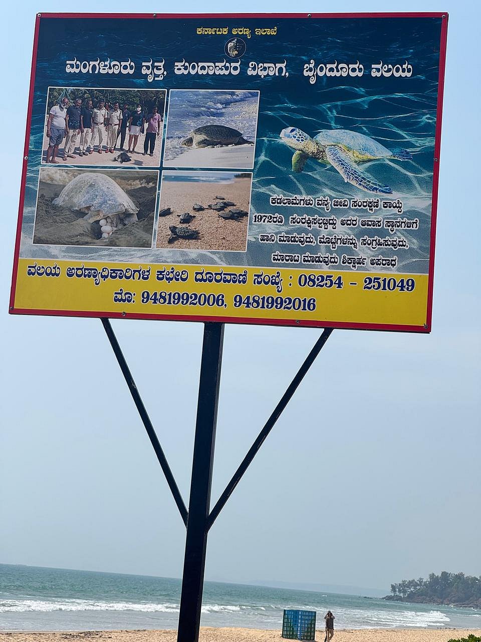 ಉಡುಪಿ: ಕಡಲಾಮೆ ಮೊಟ್ಟೆಗೆ ಅರಣ್ಯ ಇಲಾಖೆ ಕಣ್ಗಾವಲು