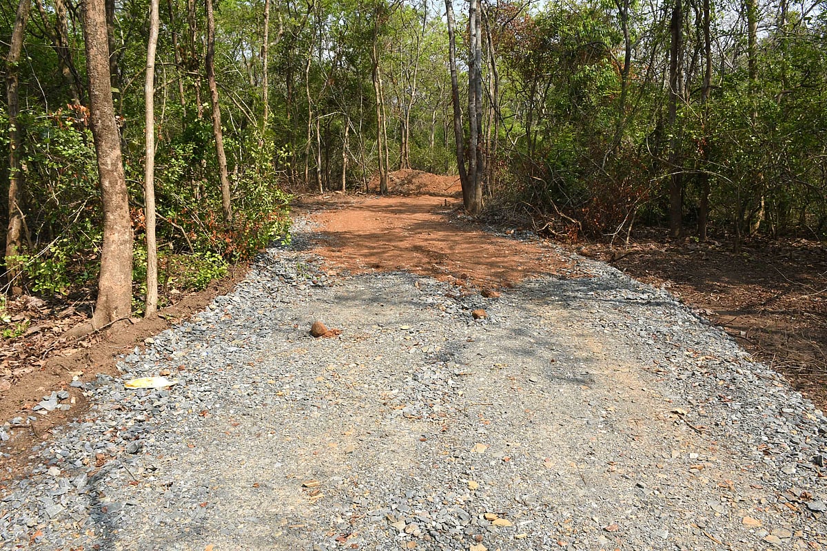 ಧಾರವಾಡ | ಮೀಸಲು ಅರಣ್ಯದಲ್ಲಿ ಮರಗಳ ಹನನ; ರಸ್ತೆ ನಿರ್ಮಾಣ