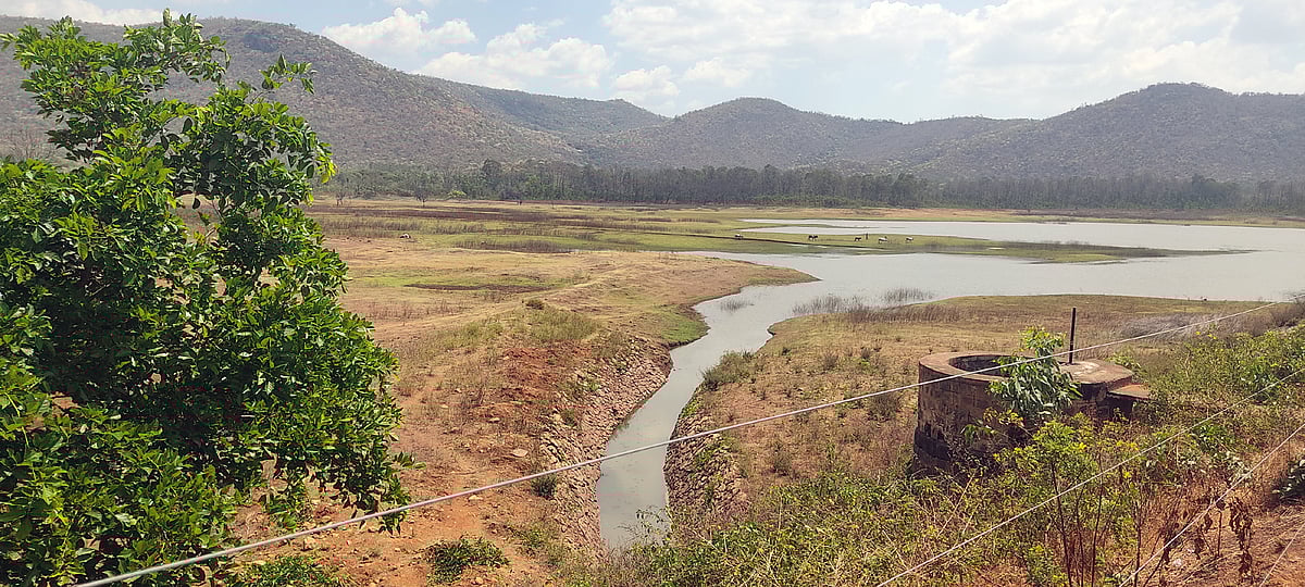 ಬಿಸಿಲ ಝಳ; ಅಣೆಕಟ್ಟೆ,ನದಿಗಳು ಭಣ ಭಣ: ಮಳೆಗಾಗಿ ಮುಗಿಲಿನತ್ತ ದೃಷ್ಟಿ ನೆಟ್ಟ ರೈತರು