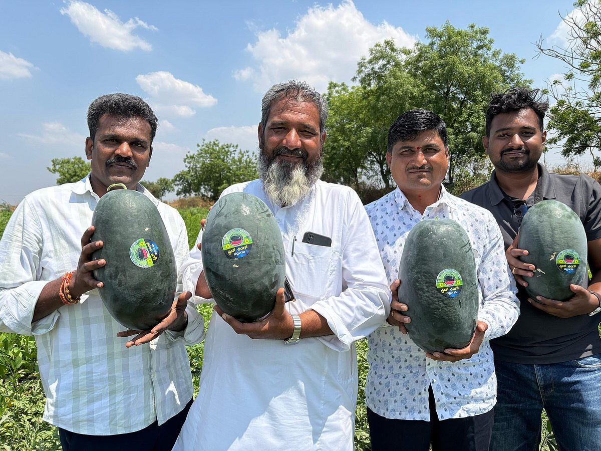 2 ಎಕರೆಯಲ್ಲಿ ₹ 5.5 ಲಕ್ಷ ಆದಾಯ ಗಳಿಕೆ