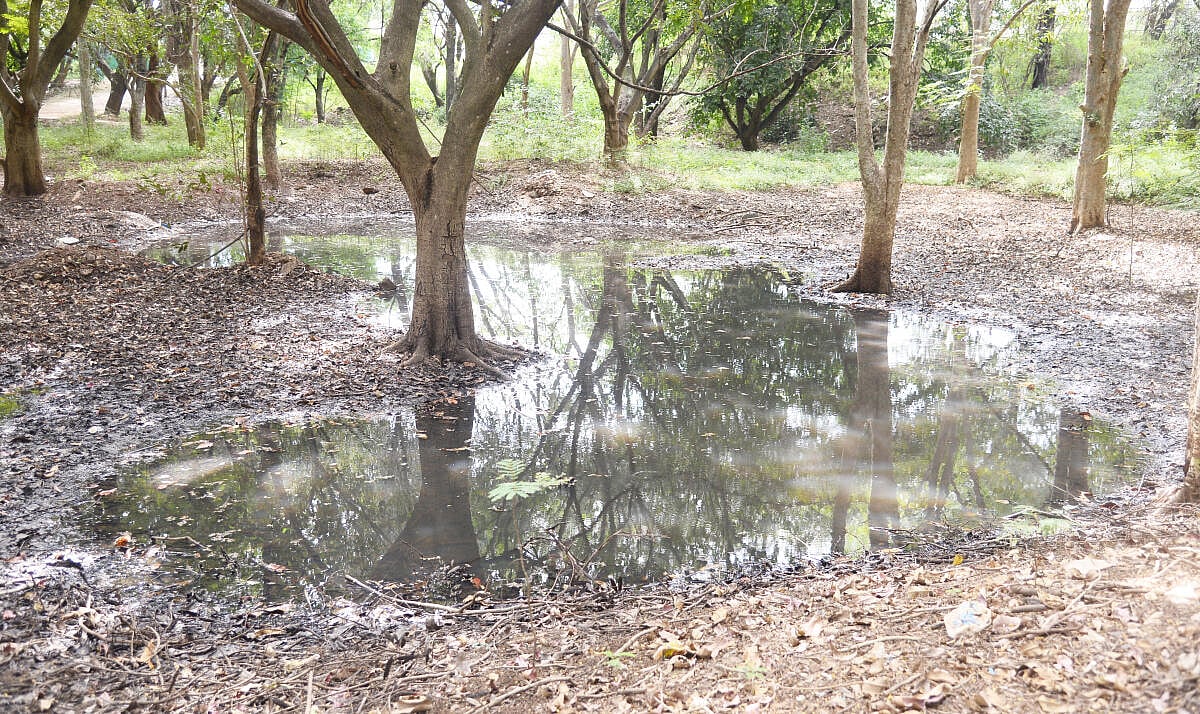 ತುಮಕೂರು | ವಾರ್ಡ್‌ 22: ಮತ್ತಷ್ಟು ಕಲುಷಿತಗೊಂಡ ಅಕ್ಕತಂಗಿ ಕೆರೆ