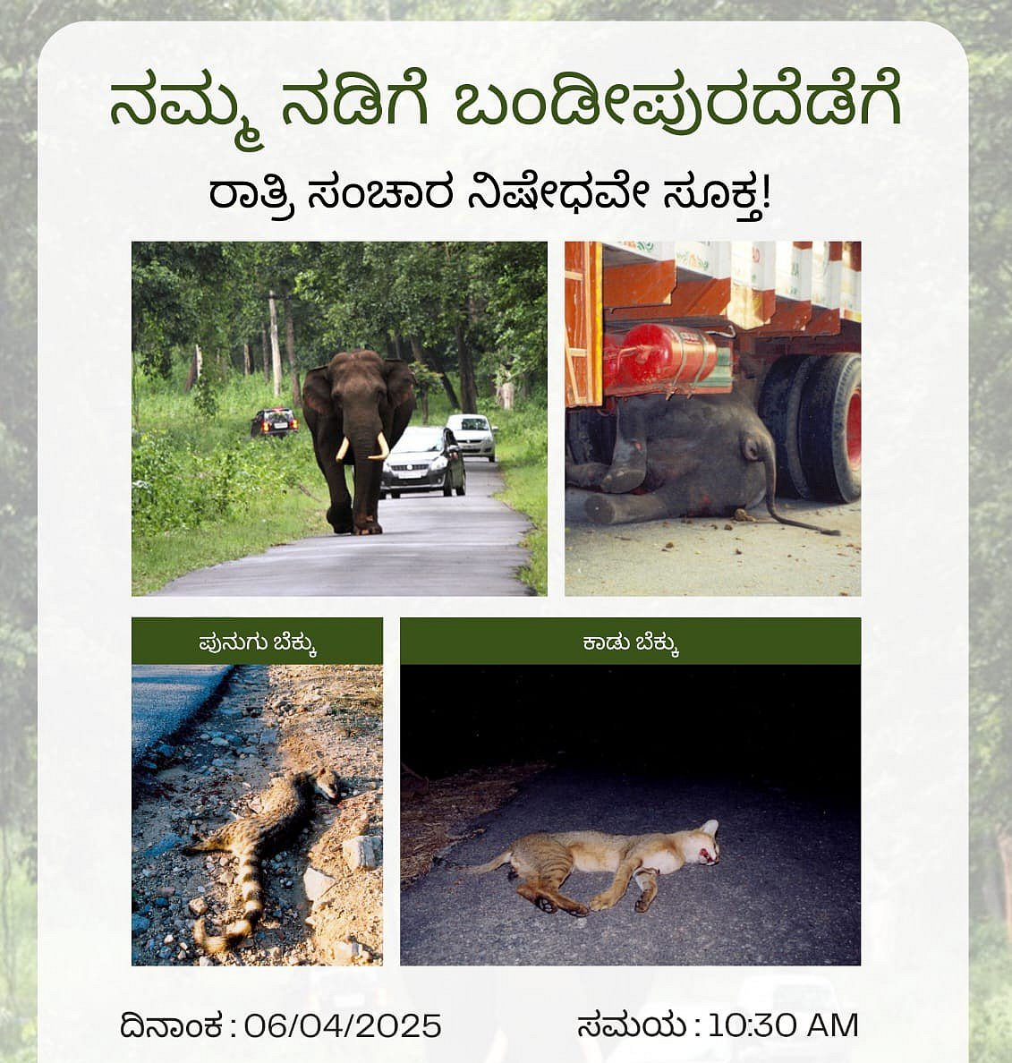 ರಾತ್ರಿ ಸಂಚಾರ ನಿರ್ಬಂಧ ತೆರವಿಗೆ ವಿರೋಧ: ನಾಳೆ ‘ನಮ್ಮ ನಡಿಗೆ ಬಂಡೀಪುರದೆಡೆಗೆ’