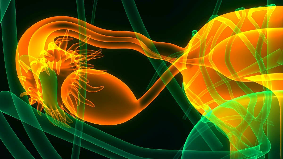 ಅಂಡಾಣು ಮಾರಾಟ | ಬೆಂಗಳೂರಿಗೂ ನಂಟು: ಮಹಾರಾಷ್ಟ್ರದಲ್ಲಿ ನಾಲ್ವರ ಬಂಧನ