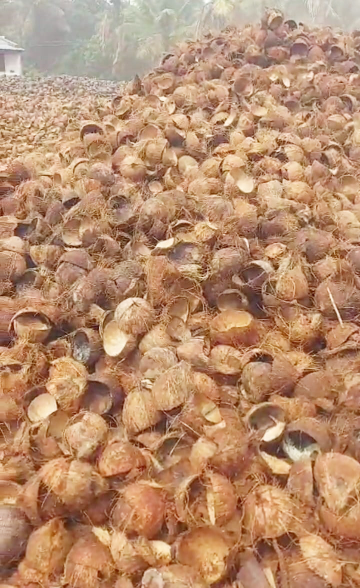 ತೆಂಗಿನಕಾಯಿ ಚಿಪ್ಪು