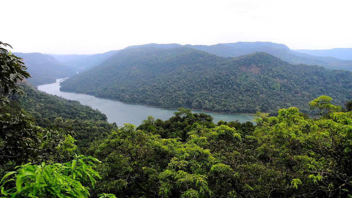 ಬೆದರಿದ ಕಾಡಿಗೆ ಬೇಕು ರಕ್ಷಣೆ