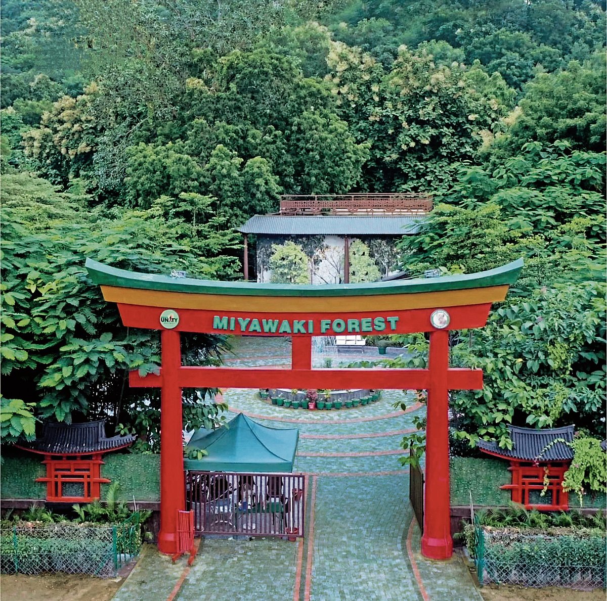 Gujarat Travelogue: ಊರ ನಡುವೆ ಮಿಯಾವಾಕಿ ಅರಣ್ಯ