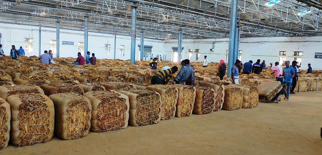 ಹೊಗೆಸೊಪ್ಪು: ₹371 ಕೋಟಿ ವಹಿವಾಟು