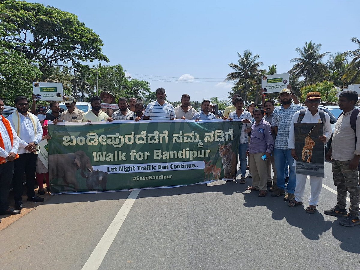 ಬಂಡೀಪುರ ಅರಣ್ಯದೊಳಗೆ ರಾತ್ರಿ ವಾಹನ ಸಂಚಾರ ನಿರ್ಬಂಧ ಮುಂದುವರಿಸುವಂತೆ ಒತ್ತಾಯ