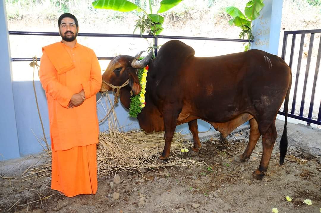 ಸೋಮವಾರಪೇಟೆ ತಾಲ್ಲೂಕಿನ ಮನೆಹಳ್ಳಿ ಶ್ರೀ ತಪೋಕ್ಷೇತ್ರದಲ್ಲಿ ಗೋವಿನೊಂದಿಗೆ ಸ್ವಾಮೀಜಿ