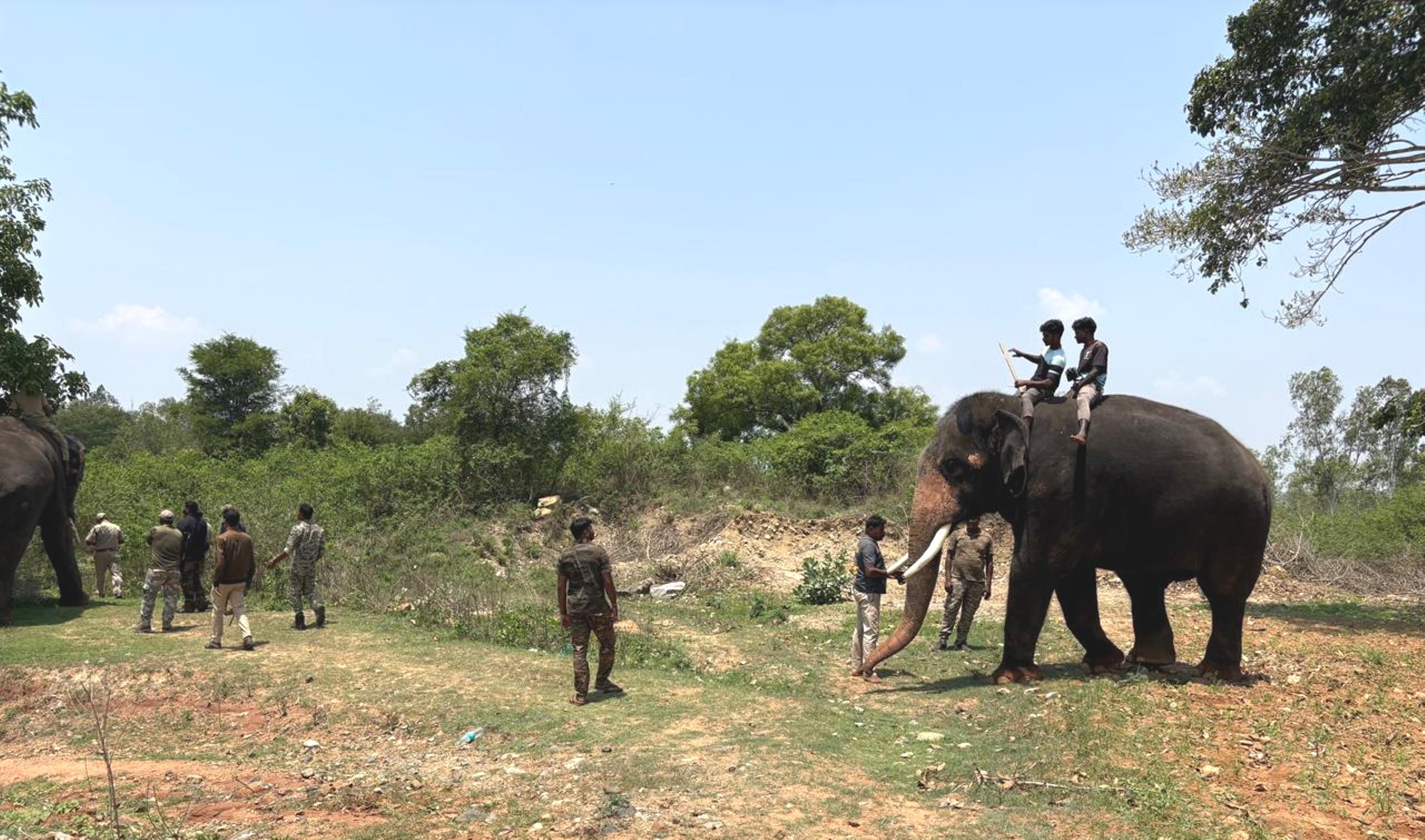 ಹುಣಸೂರು ತಾಲ್ಲೂಕಿನ ಹನಗೋಡು ಹೋಬಳಿ ಭಾಗದ ಹೈರಿಗೆ ಕೆರೆ ಅಂಗಳಕ್ಕೆ ಹೊಂದಿಕೊಂಡಿರುವ ಜಮೀನಿನಲ್ಲಿ ಅಡಗಿದ್ದ 5 ರಿಂದ6 ವರ್ಷದ ಹುಲಿ ಬಂಧನಕ್ಕೆ ಅರಣ್ಯ ಇಲಾಖೆ ಮಂಗಳವಾರ ಕೋಂಬಿಗ್ ಆಪರೇಷನ್ ಆರಂಭಿಸಿದೆ.