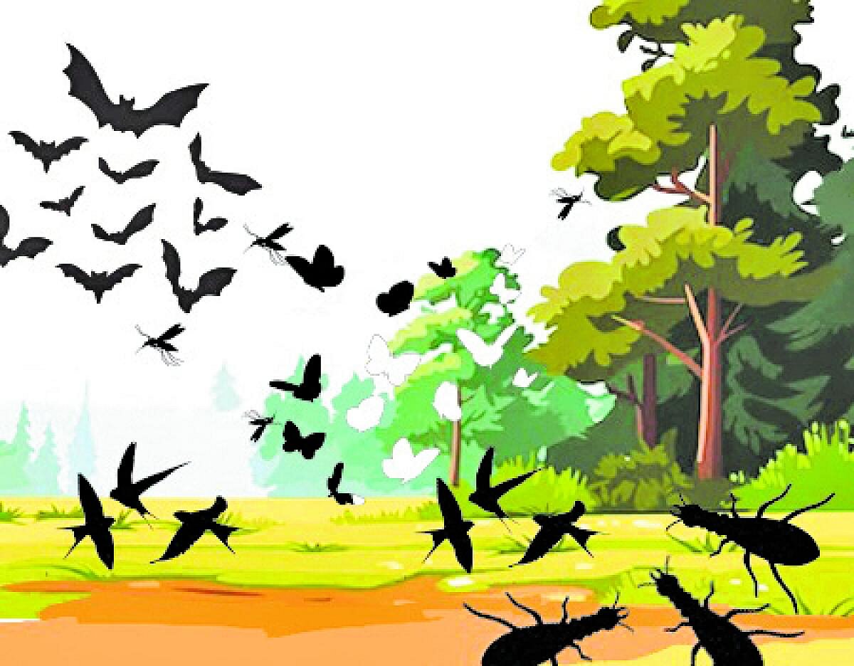 ಸಂಗತ: ಒಂದು ಮಳೆ, ನೂರಾರು ಸಿಂಚನ