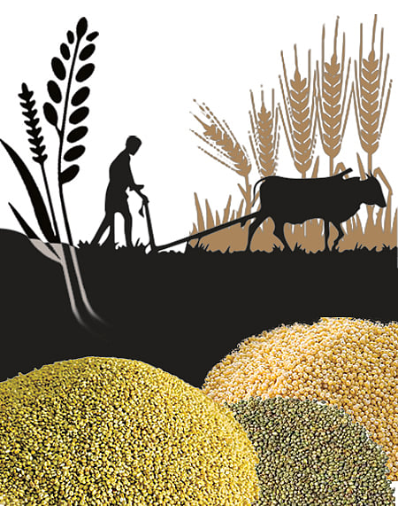 ಸಂಗತ | ಪ್ರಚಾರಕ್ಕಷ್ಟೇ ಸೀಮಿತವಾದ ಸಿರಿಧಾನ್ಯ!