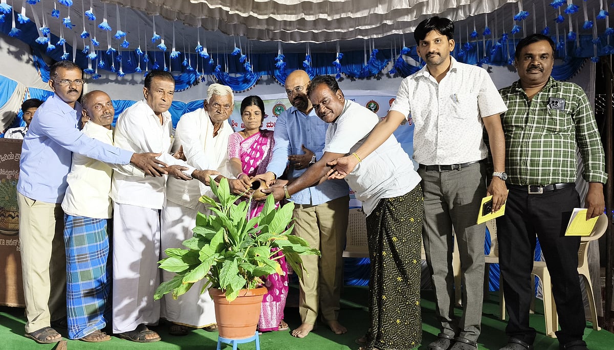 ಚಿತ್ರದುರ್ಗ | ಸಾಮರಸ್ಯ ಮೂಡಿಸಲು ಎನ್‌ಎಸ್‌ಎಸ್‌ ಸಹಕಾರಿ: ಪಿ.ಬಿ.ಭರತ್‌