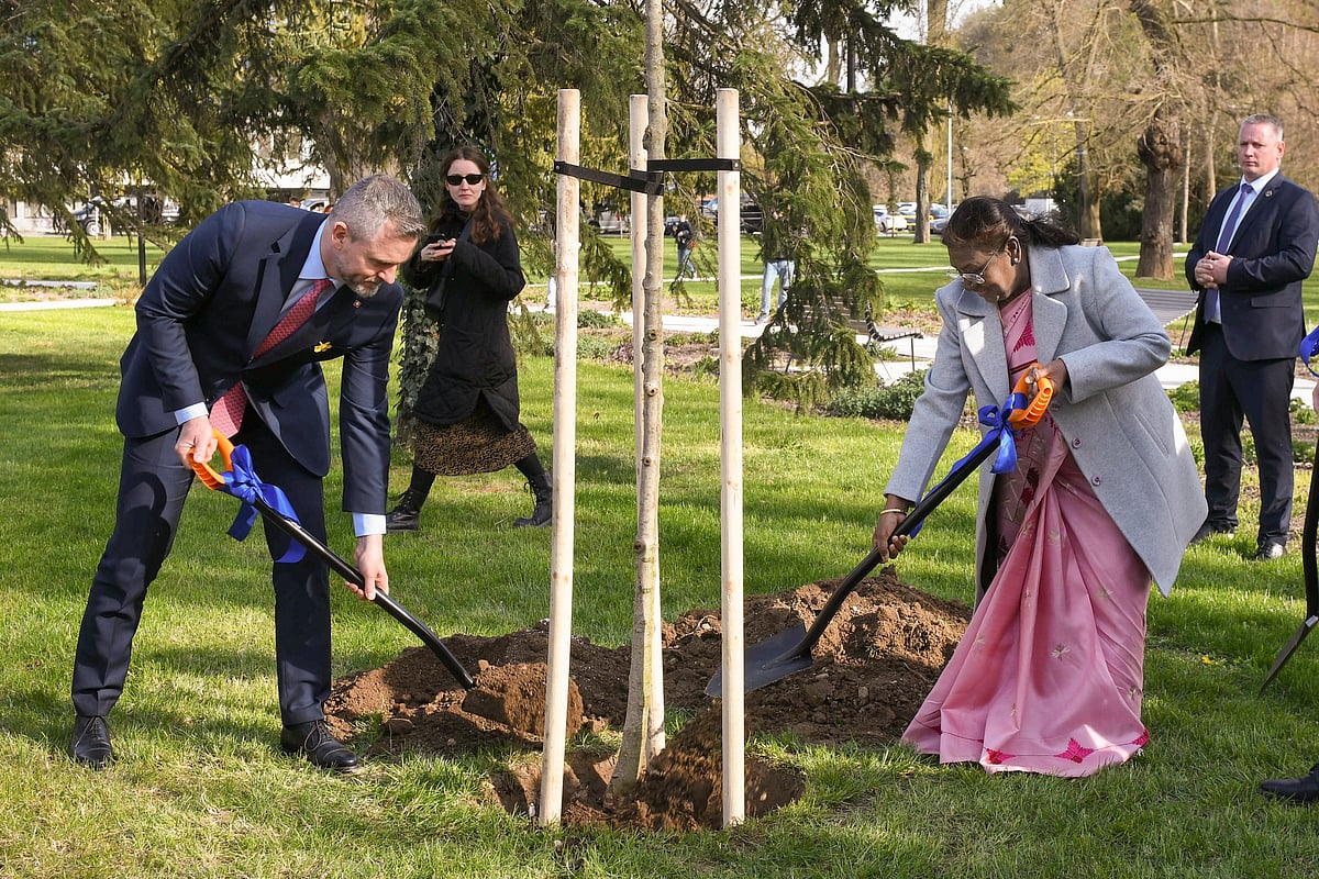 ‘ಅಮ್ಮನ ಹೆಸರಿನಲ್ಲಿ ಮರ’: ಅಭಿಯಾನಕ್ಕೆ ಸ್ಲೋವಾಕಿಯಾ ಬೆಂಬಲ