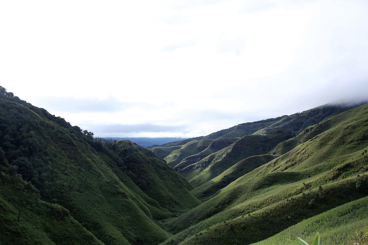 ಥಾಂಗ್ಜಿಂಗ್‌ ಬೆಟ್ಟ ಹತ್ತದಿರಿ: ಮೈತೇಯಿಗಳಿಗೆ ಕುಕಿ–ಜೋ ಸಂಘಟನೆಗಳ ಎಚ್ಚರಿಕೆ