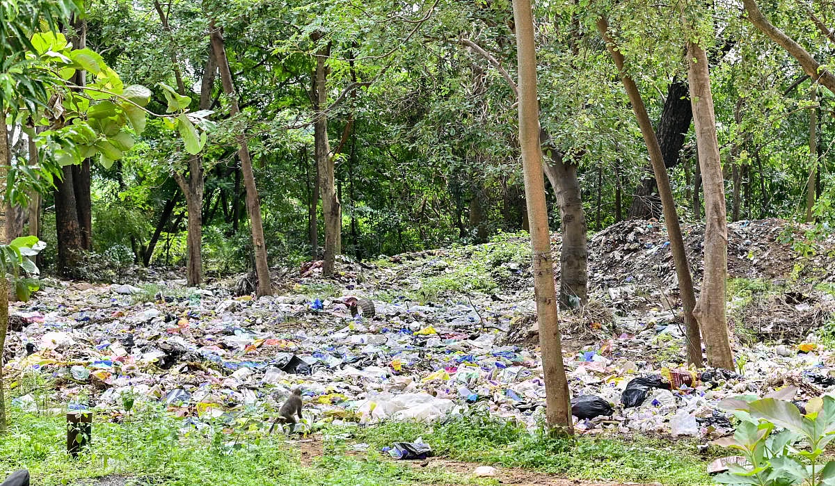 ಒಳನೋಟ: ಸಾಕಾರವಾಗದ ಸ್ವಚ್ಛಭಾರತ