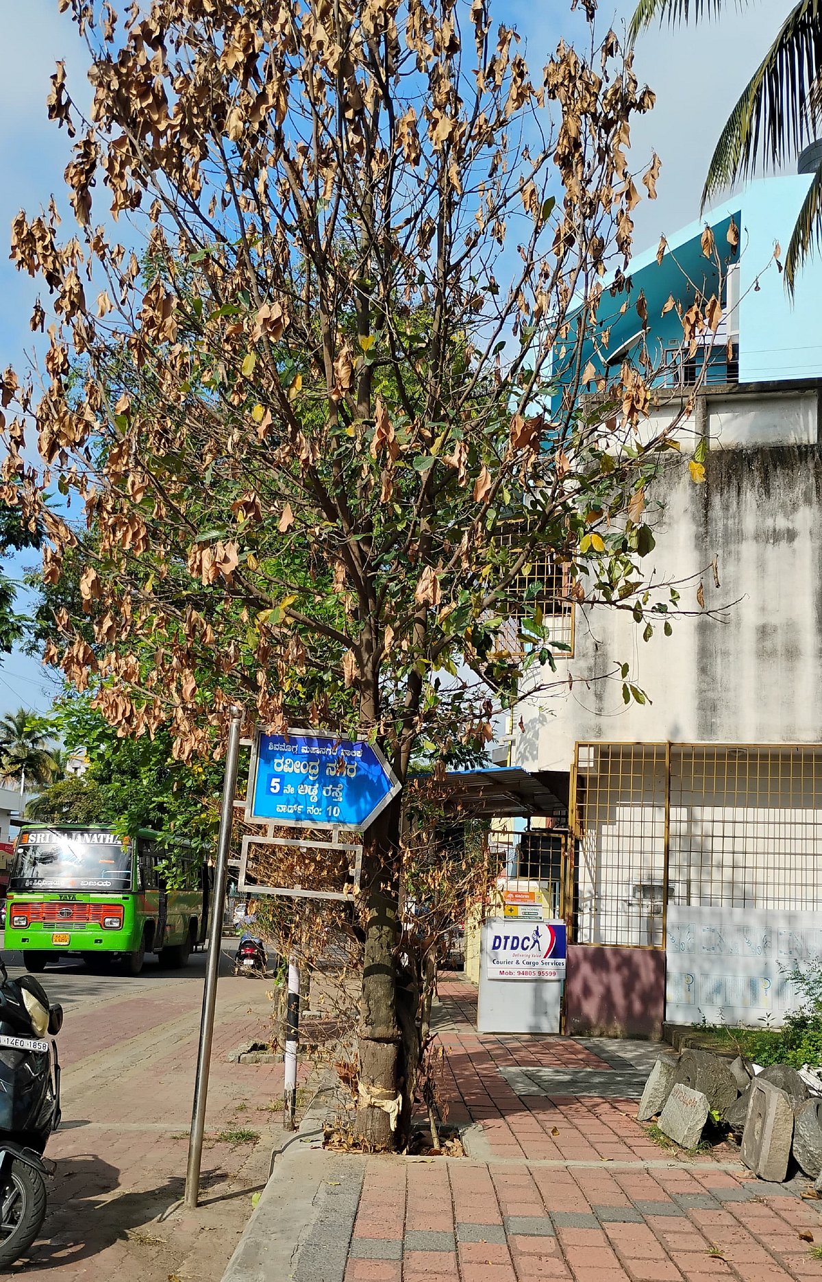 ಶಿವಮೊಗ್ಗ: ನಾಮಫಲಕ ಕಾಣದ್ದಕ್ಕೆ ಮರಗಳಿಗೇ ವಿಷಪ್ರಾಶನ?