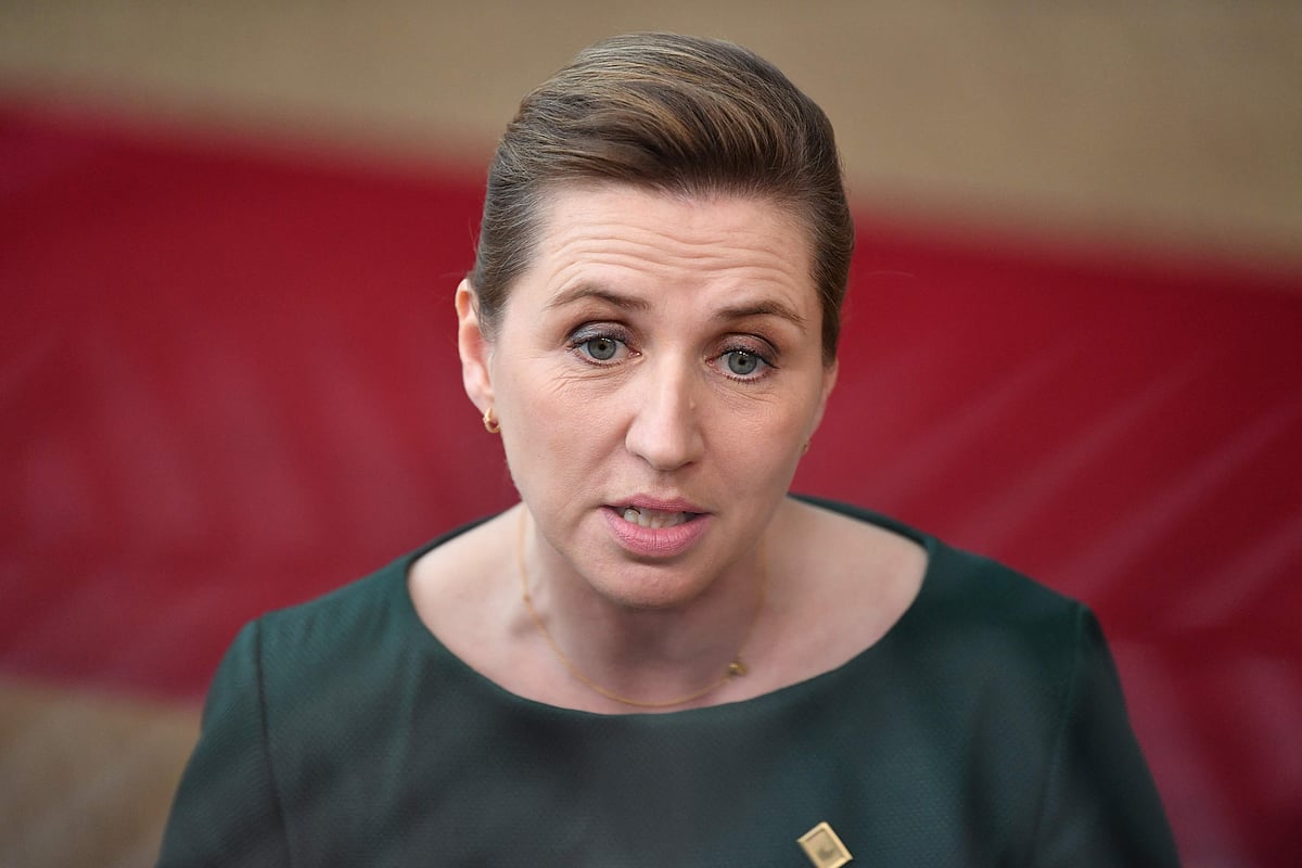 ಡೆನ್ಮಾರ್ಕ್‌ ಪ್ರಧಾನಿ ಜೊತೆ ಮೋದಿ ಮಾತುಕತೆ