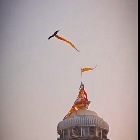 ಕೇಸರಿ ಬಟ್ಟೆಯೊಡನೆ ಜಗನ್ನಾಥ ದೇಗುಲದ ಗೋಪುರ ಸುತ್ತಿದ ಗಿಡುಗ: ಹರಿದಾಡಿದ ವಿಡಿಯೊ