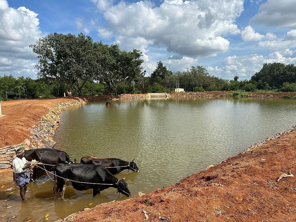 ಮೈಸೂರು | ಕೆರೆ, ಕಲ್ಯಾಣಿಗೆ ಪುನಶ್ಚೇತನ ‘ಖಾತ್ರಿ’: ಜಲಮೂಲಗಳಿಗೆ ಹೊಸ ರೂಪ