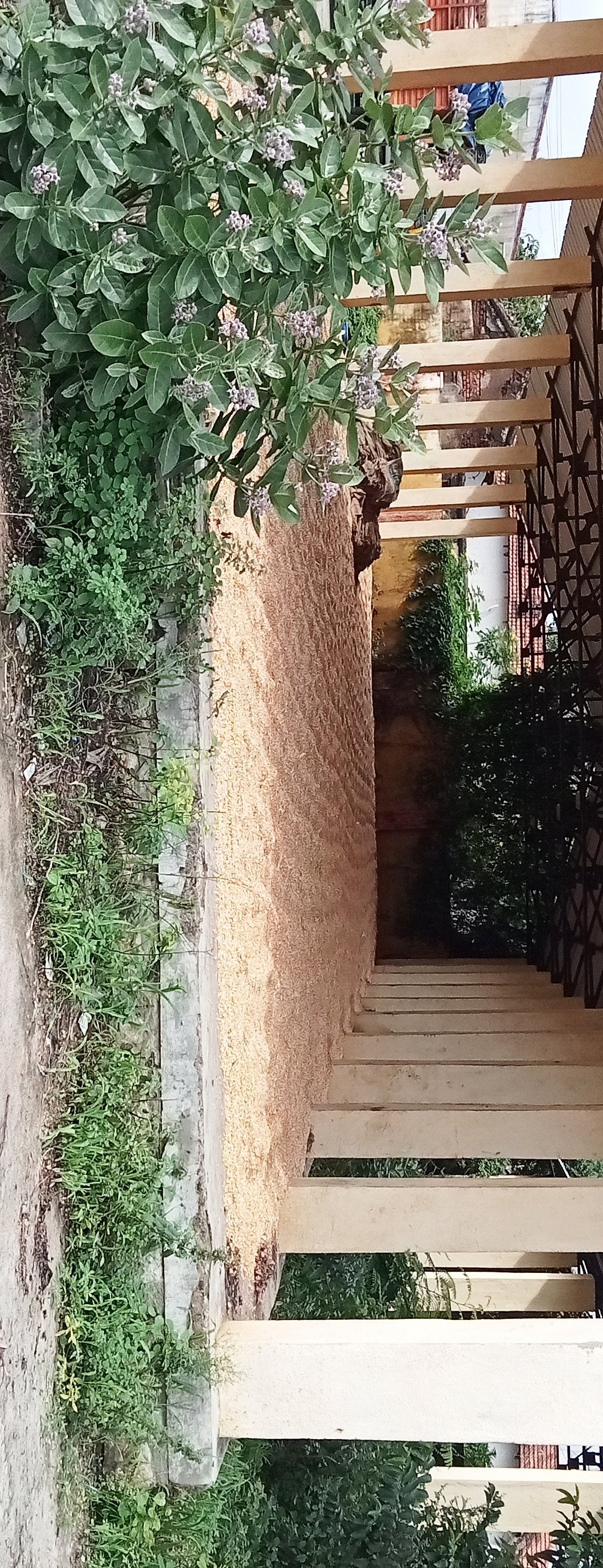 ಸಂತೇಮರಹಳ್ಳಿ: ಮಂಗಳವಾರ ಸಂತೆಯಲ್ಲಿ ಸೌಲಭ್ಯ ಕೊರತೆ