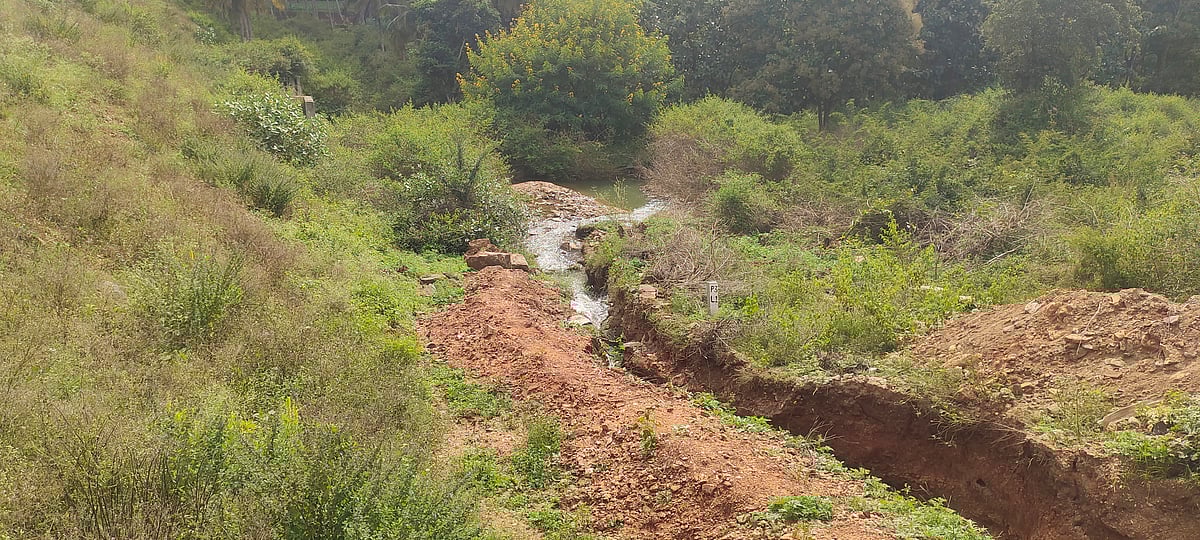 ಬಾಗಲಕೋಟೆ | ದೂರದೃಷ್ಟಿ ಕೊರತೆ: ನೀರಿಗೆ ಪರದಾಟ