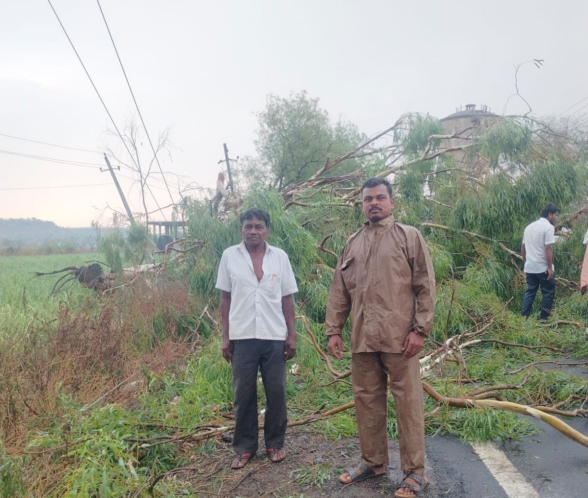 ಧರೆಗುರುಳಿದ ವಿದ್ಯುತ್‌ ಕಂಬಗಳು