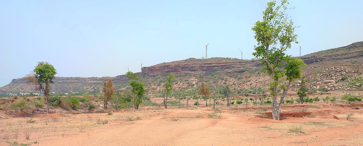 ಗಜೇಂದ್ರಗಡ ತಾಲ್ಲೂಕಿನ ಕೆರೆಗಳಿಗೆ ಬೇಕಿದೆ ಕಾಯಕಲ್ಪ