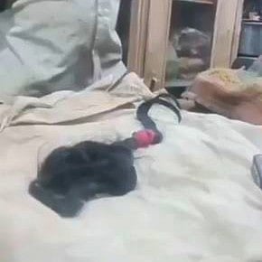 ಬ್ಯೂಟಿ ಪಾರ್ಲರ್‌ನಲ್ಲಿ ಹೆಂಡತಿಯ ಜಡೆ ಕತ್ತರಿಸಿದ ಗಂಡ!