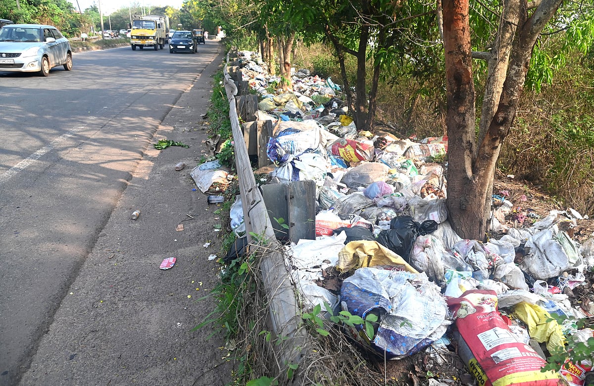 ಮಂಗಳೂರು | ತ್ಯಾಜ್ಯ ನಿರ್ವಹಣೆ: ಪಾಲಿಕೆ ನಿರ್ವಹಿಸುವುದೇ ಹೊಣೆ?