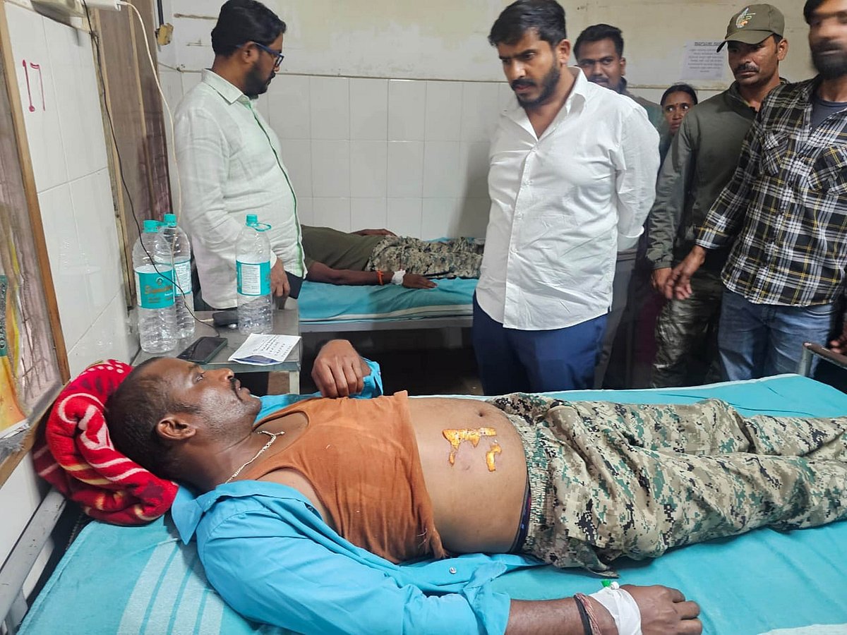 ಅರಣ್ಯ ಸಿಬ್ಬಂದಿ ಮೇಲೆ ಕರಡಿ ದಾಳಿ: ಗಂಭೀರ ಗಾಯ