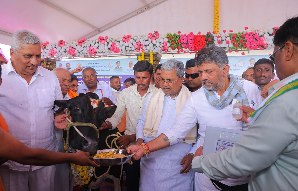 98 ಲಕ್ಷ ರಾಸುಗಳಿಗೆ ಕಾಲುಬಾಯಿ ಲಸಿಕೆ: 7ನೇ ಸುತ್ತಿನ ಅಭಿಯಾನಕ್ಕೆ ಸಿಎಂ ಚಾಲನೆ