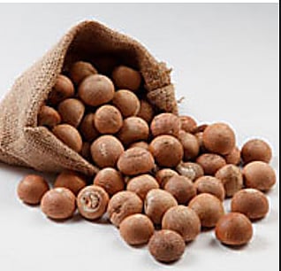 2025-26ನೇ ಆರ್ಥಿಕ ವರ್ಷದಲ್ಲಿ ₹1,064 ಕೋಟಿ ಮೊತ್ತದ ಅಡಿಕೆ ಆಮದು: ಕೇಂದ್ರಸರ್ಕಾರ