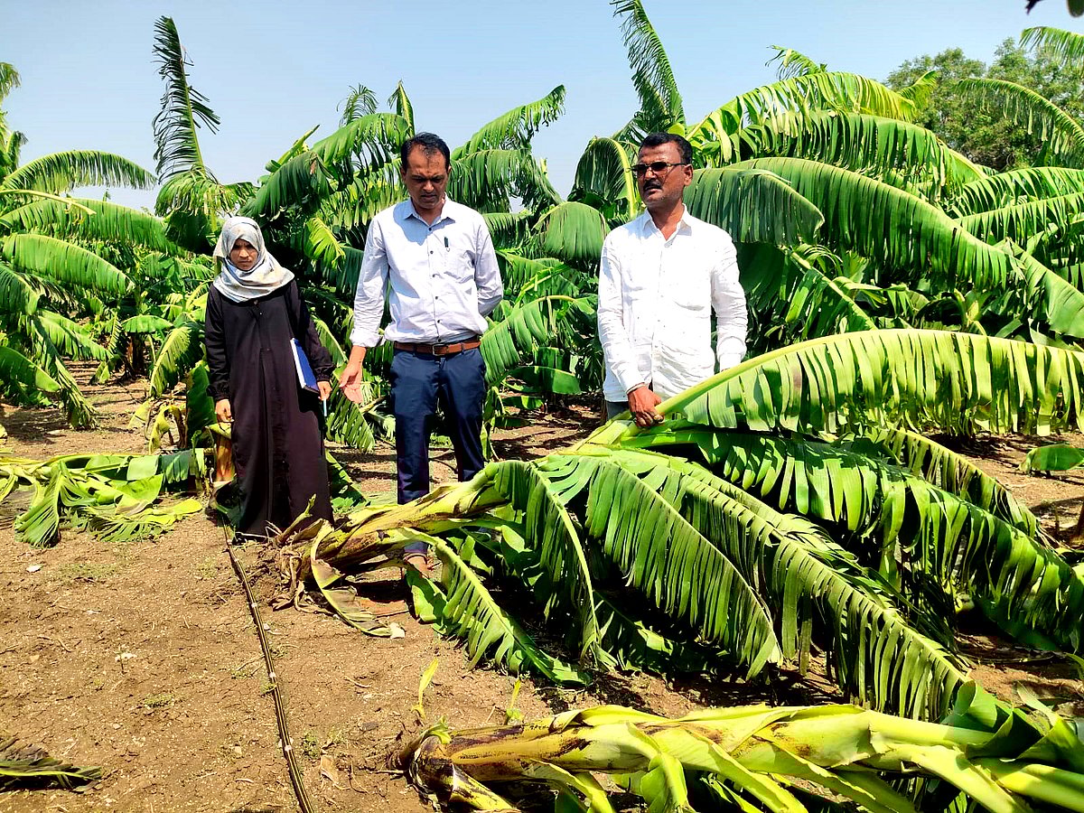 ಚಿತ್ತಾಪುರ: ಭಾರಿ ಮಳೆ, ಗಾಳಿ; ಮನೆ ಕುಸಿದು ನಾಲ್ವರಿಗೆ ಗಾಯ 