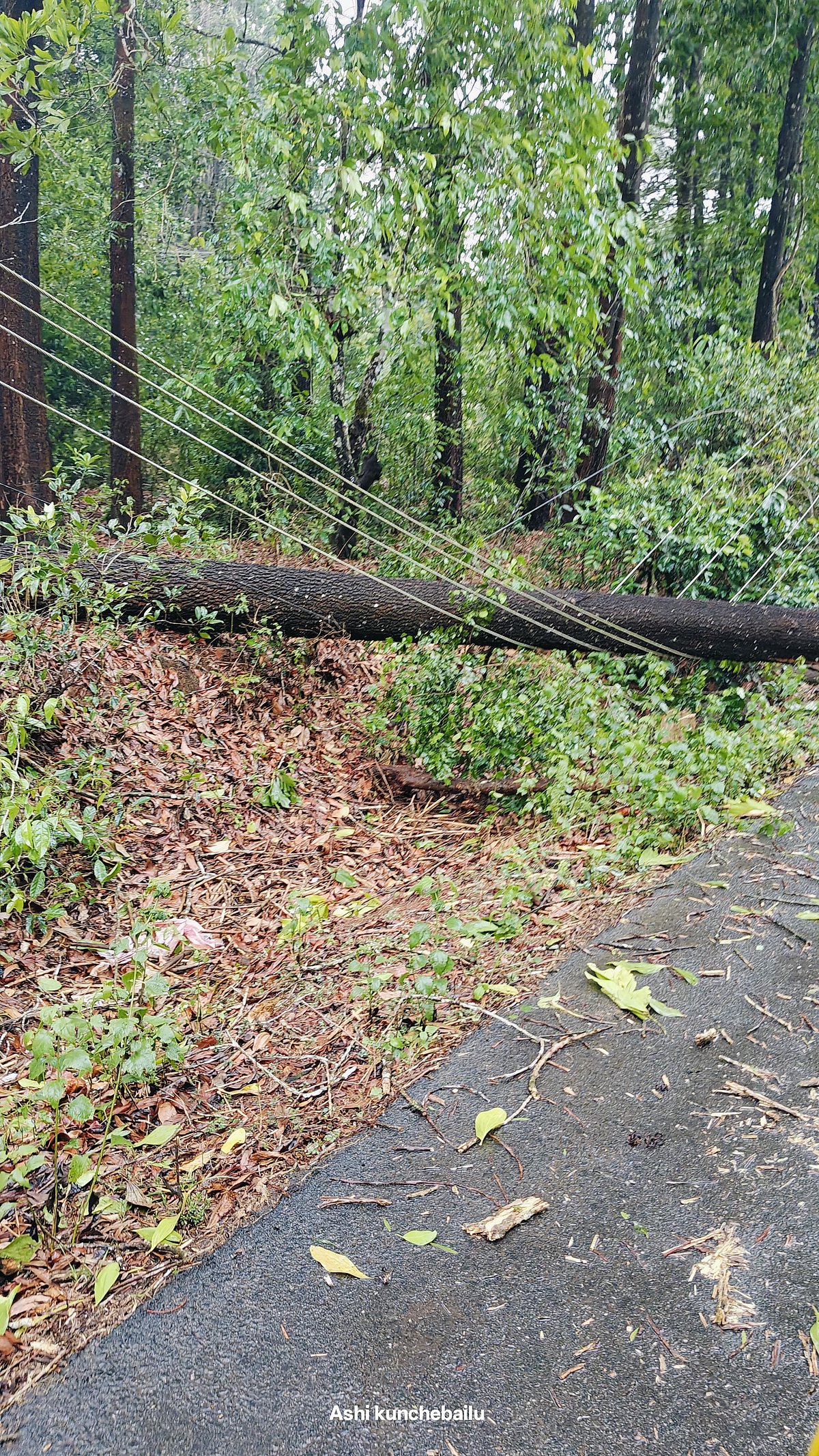 ಚಿಕ್ಕಮಗಳೂರು: ಮಳೆ ಎದುರಿಸಲು ಮೆಸ್ಕಾಂ ಸಜ್ಜು
